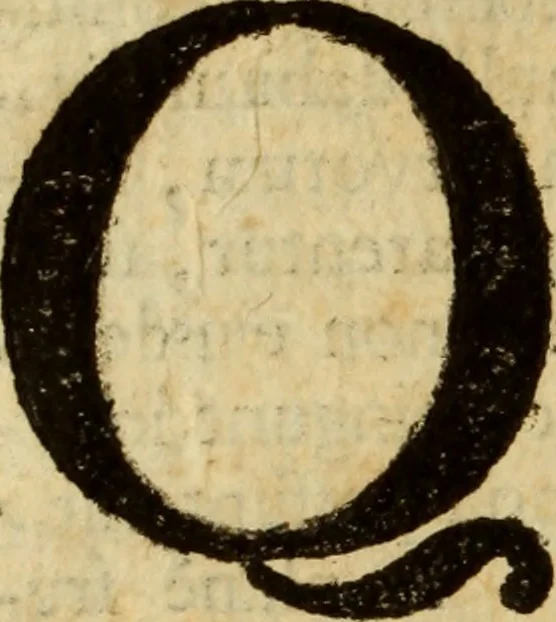 An illustration from Laurentii Bellini Opuscula aliquot Ad Archibaldum Pitcarnium Professorem Lugduno-Batavum, 1695, leaf 33