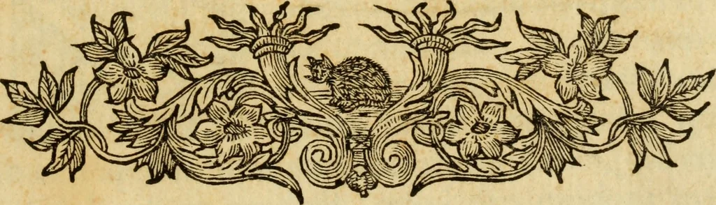 An illustration from Laurentii Bellini Opuscula aliquot Ad Archibaldum Pitcarnium Professorem Lugduno-Batavum, 1695, leaf 8