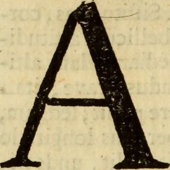 An illustration from Laurentii Bellini Opuscula aliquot Ad Archibaldum Pitcarnium Professorem Lugduno-Batavum, 1695, leaf 89