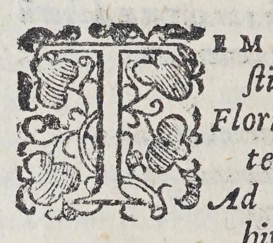 An illustration from Laurentii Gambarae Brixiani De nauigatione Christophori Columbi libri quattuor, 1581, leaf 96