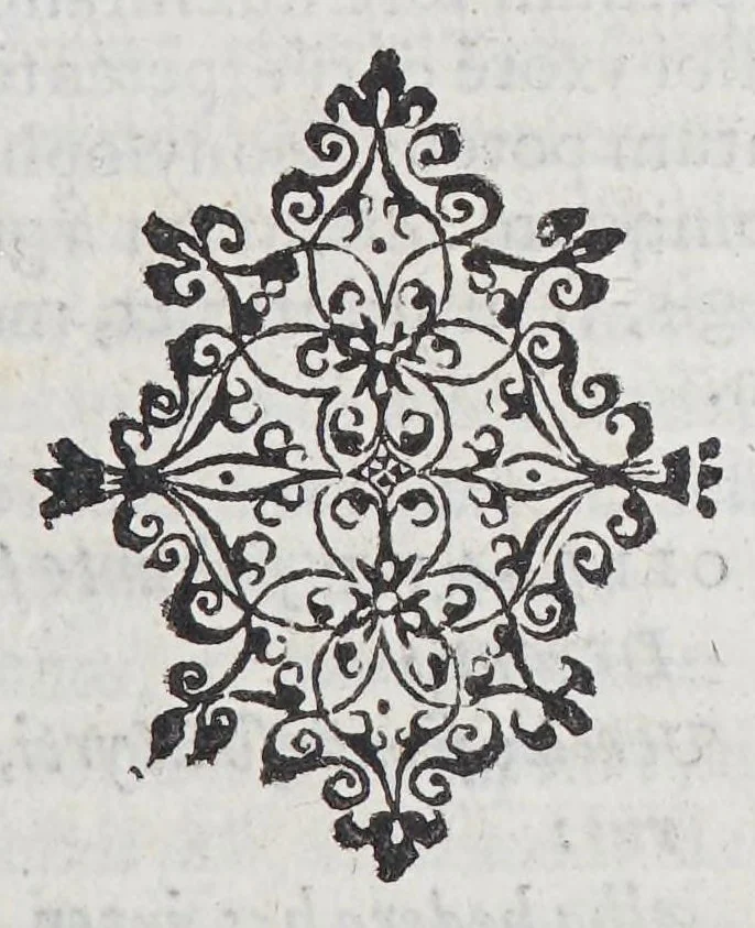 An illustration from Laurentii Gambarae Expositi, 1581, leaf 45