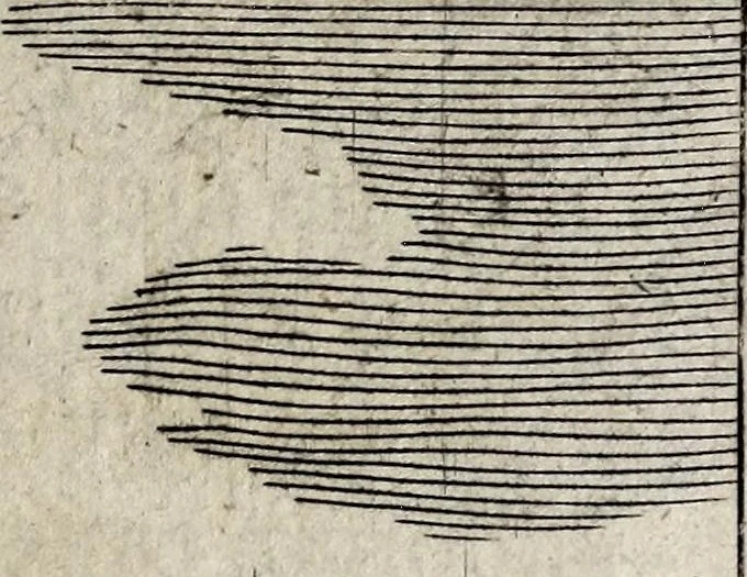 An illustration from Laurentii Pignorii Patavini De servis, & eorum apud veteres ministeriis, commentarius : in quo familia, tum urbana, tum rustica, ordine producitur & illustratur, 1674, leaf 305