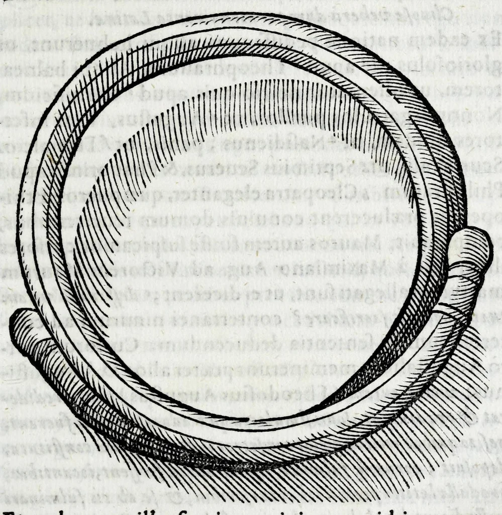 An illustration from Laurentii Pignorii patavini De servis, et eorum apud veteres ministeriis commentarius, 1613, leaf 173