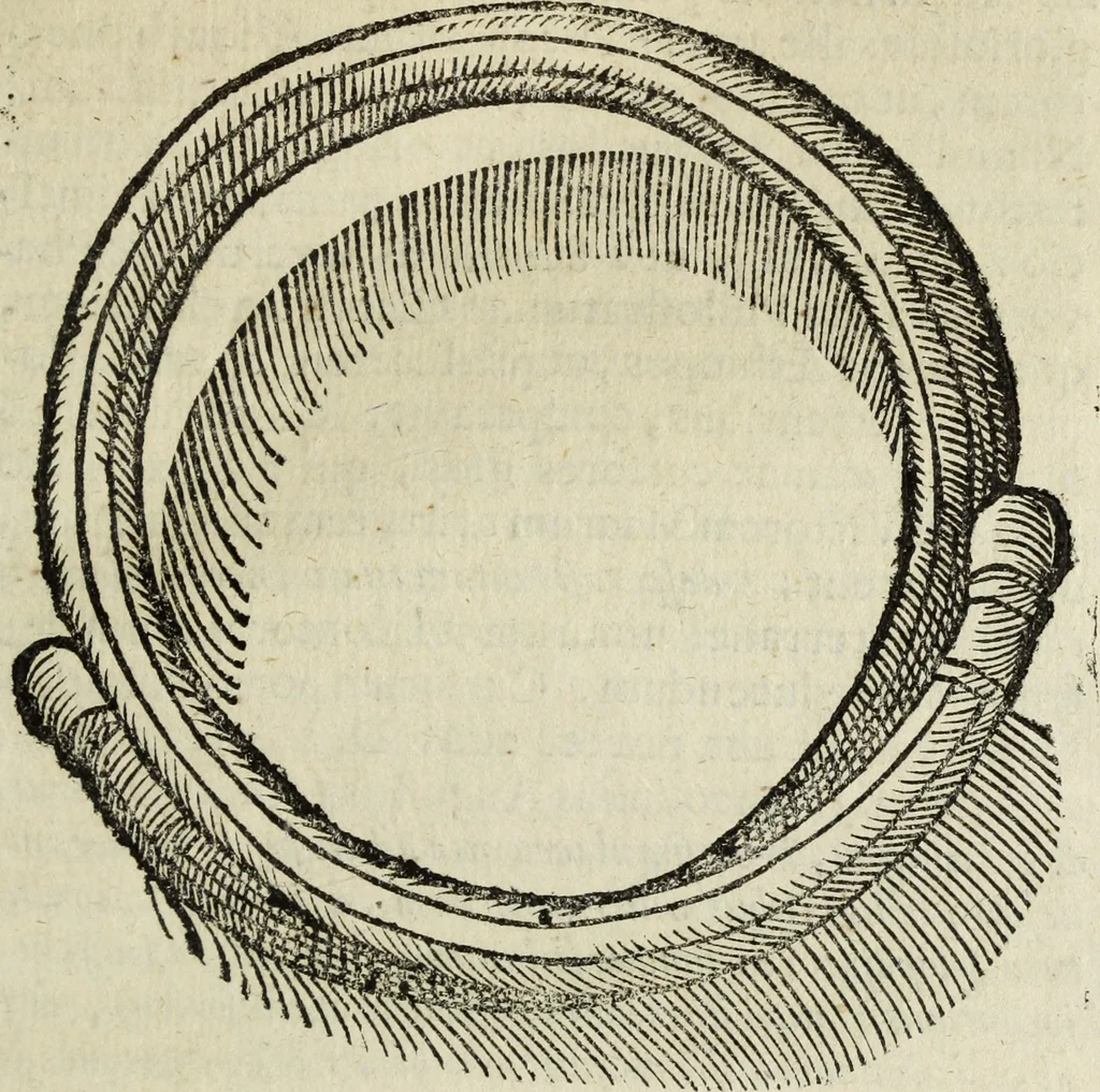 An illustration from Laurentij Pignorij Patavini De servis, et eorum apud veteres ministerijs commentarius : in hac ultima editione pro rerum diversitate discretus in capita additis titulis denotata : accessit, Symbolarum epistolicarum liber, 1694, leaf 180