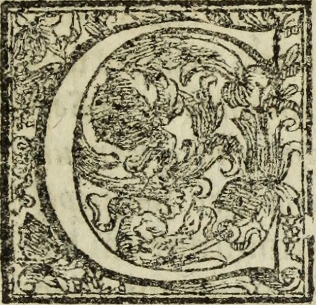 An illustration from Laurentij Pignorij Patavini De servis, et eorum apud veteres ministerijs commentarius : in hac ultima editione pro rerum diversitate discretus in capita additis titulis denotata : accessit, Symbolarum epistolicarum liber, 1694, leaf 6
