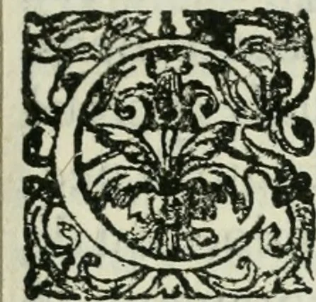 An illustration from La vana speculazione disingannata dal senso : lettera risponsiua circa i corpi marini, che petrificati si trouano in varij luoghi terrestri / di Agostino Scilla .., 1670, leaf 18