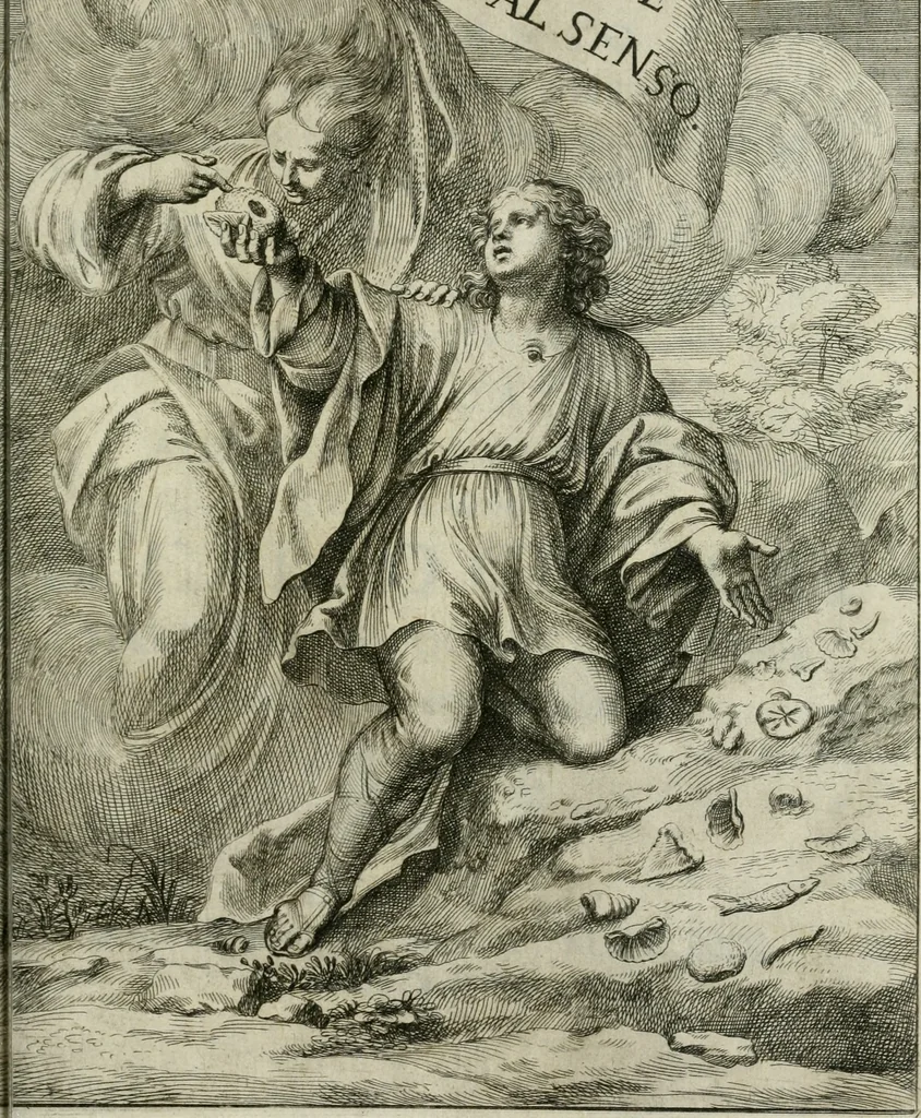An illustration from La vana speculazione disingannata dal senso : lettera risponsiua circa i corpi marini, che petrificati si trouano in varij luoghi terrestri / di Agostino Scilla .., 1670, leaf 4