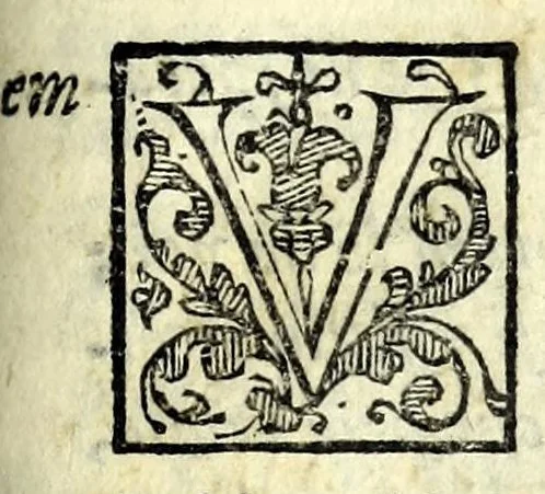 An illustration from La vedova : commedia facetissima, 1592, leaf 11
