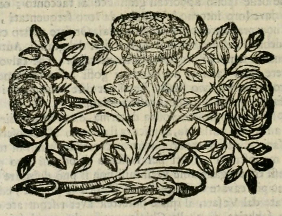 An illustration from La veglia : dialogo, 1690, leaf 28