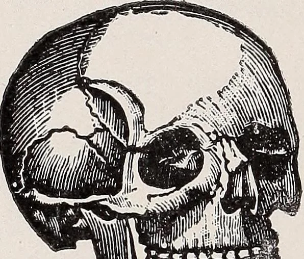 An illustration from La Vellma's vaudeville budget for magicians, mind readers, and ventriloquists, 1921, leaf 66