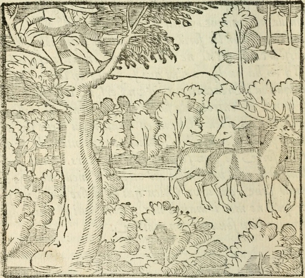 An illustration from La venerie de Jacques du Fouilloux, gentil-homme, seigneur dudit lieu, pays de Gastine, en Poitou; ... avec plusieurs receptes et remedes pour guerir les chiens de diverses maladies; plus, l'Adolescence de l'autheur, 1562, leaf 105