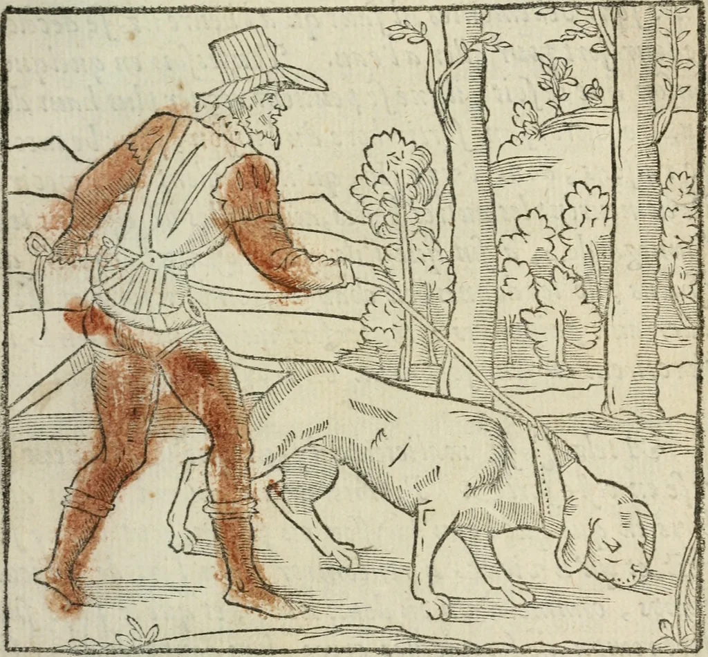 An illustration from La venerie de Jacques du Fouilloux, gentil-homme, seigneur dudit lieu, pays de Gastine, en Poitou; ... avec plusieurs receptes et remedes pour guerir les chiens de diverses maladies; plus, l'Adolescence de l'autheur, 1562, leaf 108