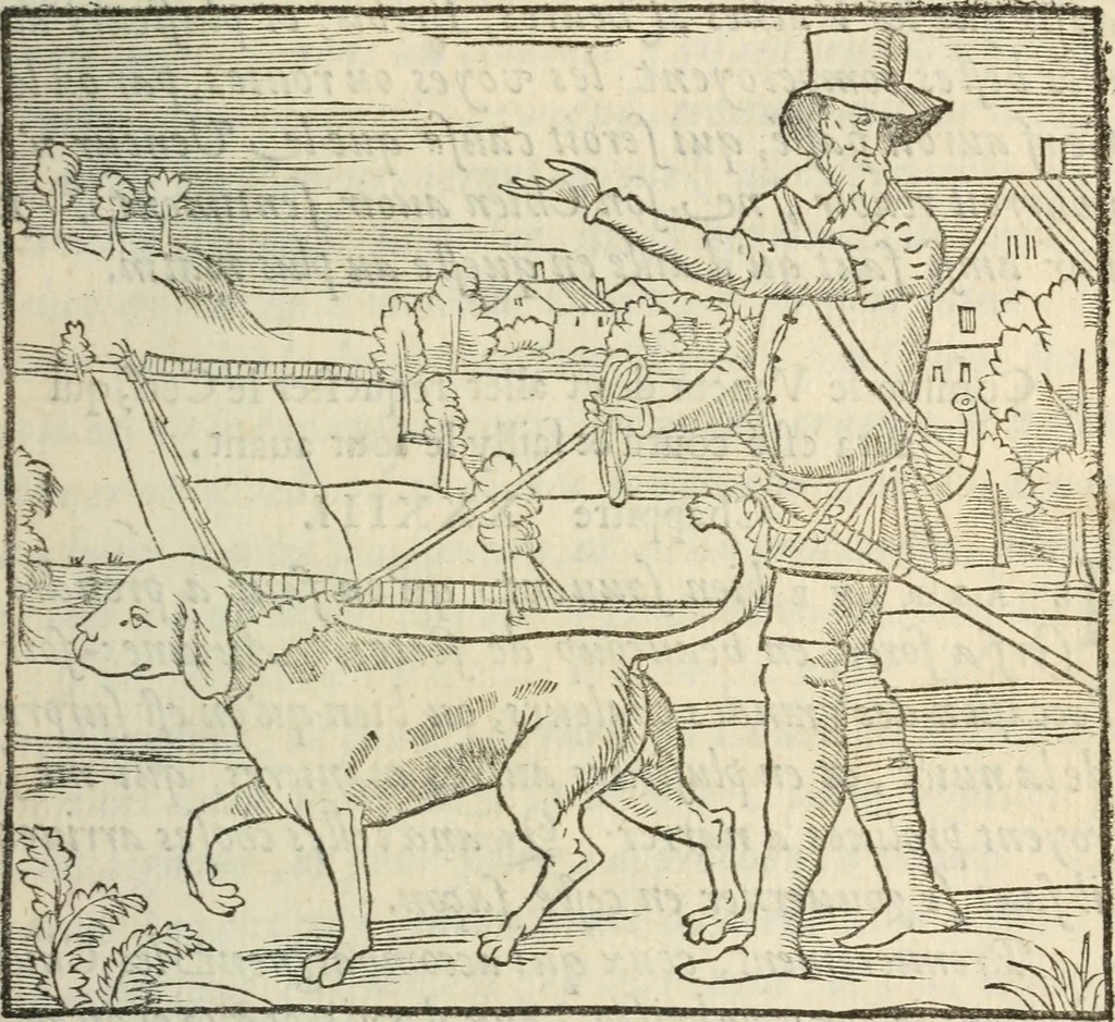 An illustration from La venerie de Jacques du Fouilloux, gentil-homme, seigneur dudit lieu, pays de Gastine, en Poitou; ... avec plusieurs receptes et remedes pour guerir les chiens de diverses maladies; plus, l'Adolescence de l'autheur, 1562, leaf 112