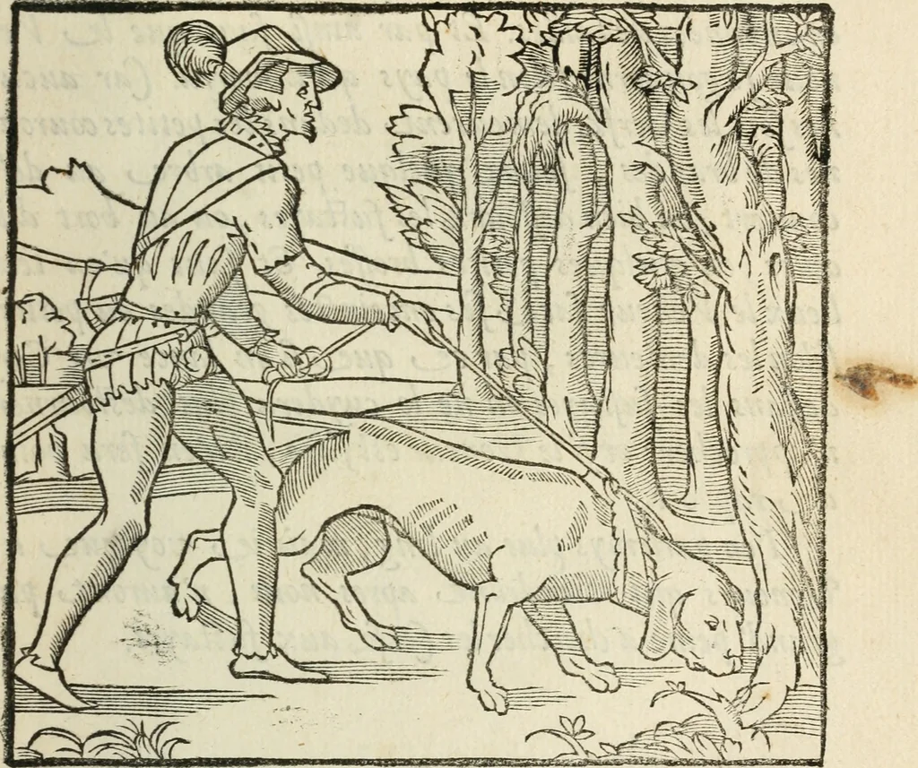 An illustration from La venerie de Jacques du Fouilloux, gentil-homme, seigneur dudit lieu, pays de Gastine, en Poitou; ... avec plusieurs receptes et remedes pour guerir les chiens de diverses maladies; plus, l'Adolescence de l'autheur, 1562, leaf 116