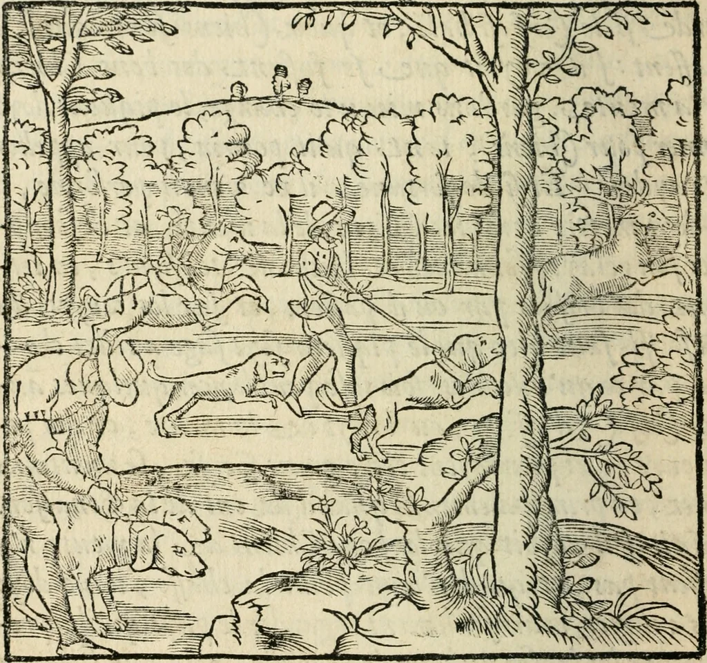 An illustration from La venerie de Jacques du Fouilloux, gentil-homme, seigneur dudit lieu, pays de Gastine, en Poitou; ... avec plusieurs receptes et remedes pour guerir les chiens de diverses maladies; plus, l'Adolescence de l'autheur, 1562, leaf 137