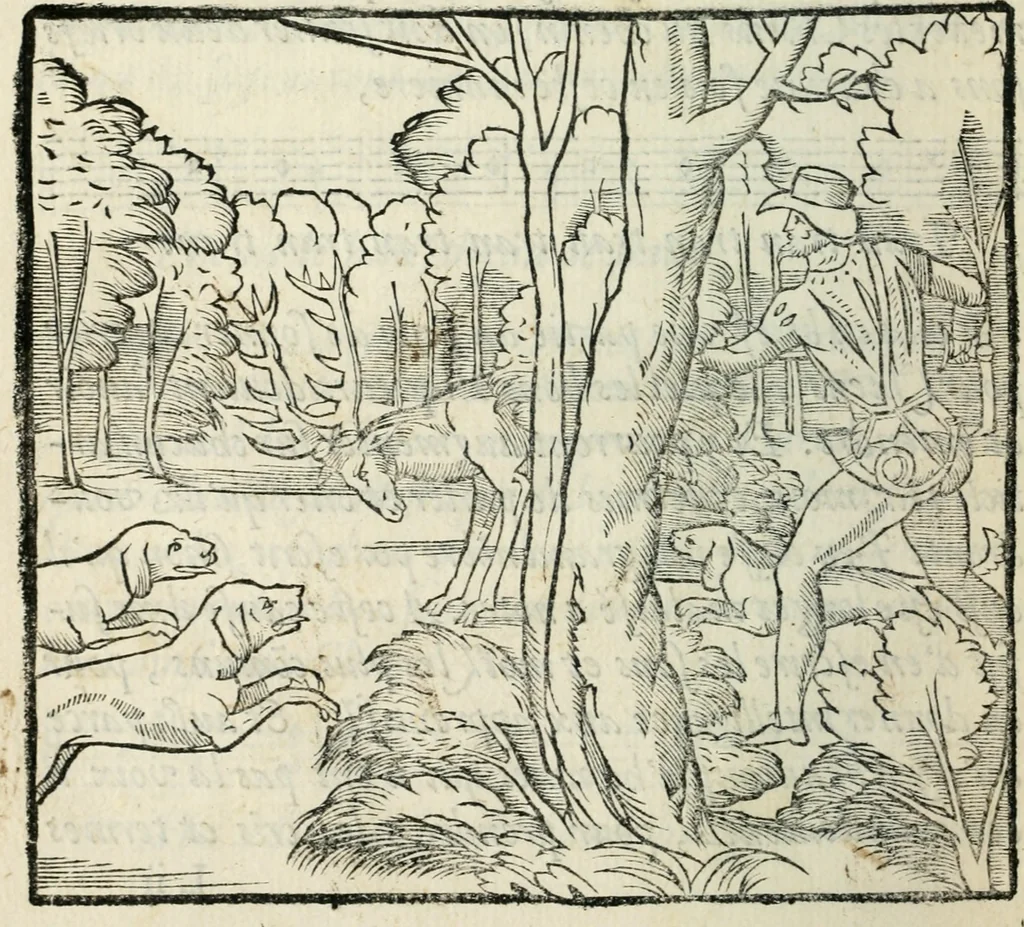 An illustration from La venerie de Jacques du Fouilloux, gentil-homme, seigneur dudit lieu, pays de Gastine, en Poitou; ... avec plusieurs receptes et remedes pour guerir les chiens de diverses maladies; plus, l'Adolescence de l'autheur, 1562, leaf 173
