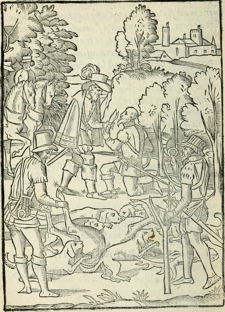 An illustration from La venerie de Jacques du Fouilloux, gentil-homme, seigneur dudit lieu, pays de Gastine, en Poitou; ... avec plusieurs receptes et remedes pour guerir les chiens de diverses maladies; plus, l'Adolescence de l'autheur, 1562, leaf 177