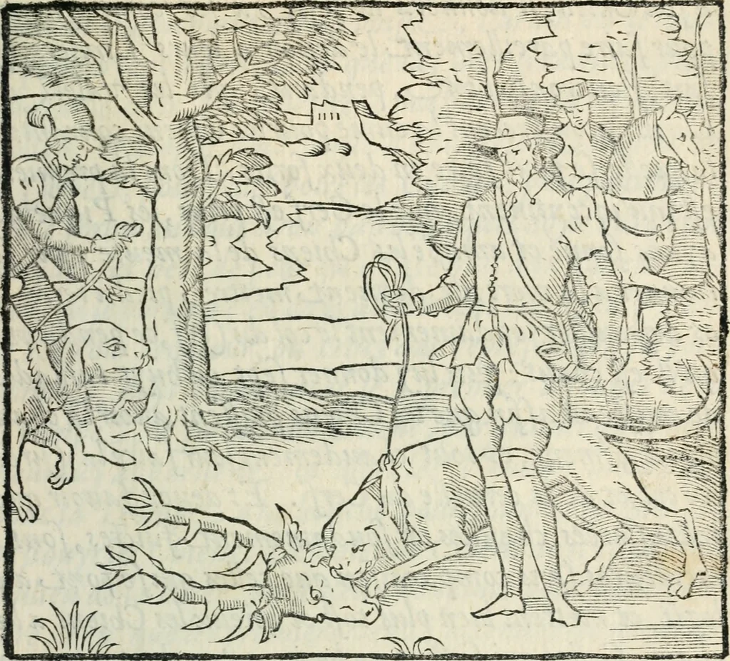 An illustration from La venerie de Jacques du Fouilloux, gentil-homme, seigneur dudit lieu, pays de Gastine, en Poitou; ... avec plusieurs receptes et remedes pour guerir les chiens de diverses maladies; plus, l'Adolescence de l'autheur, 1562, leaf 182