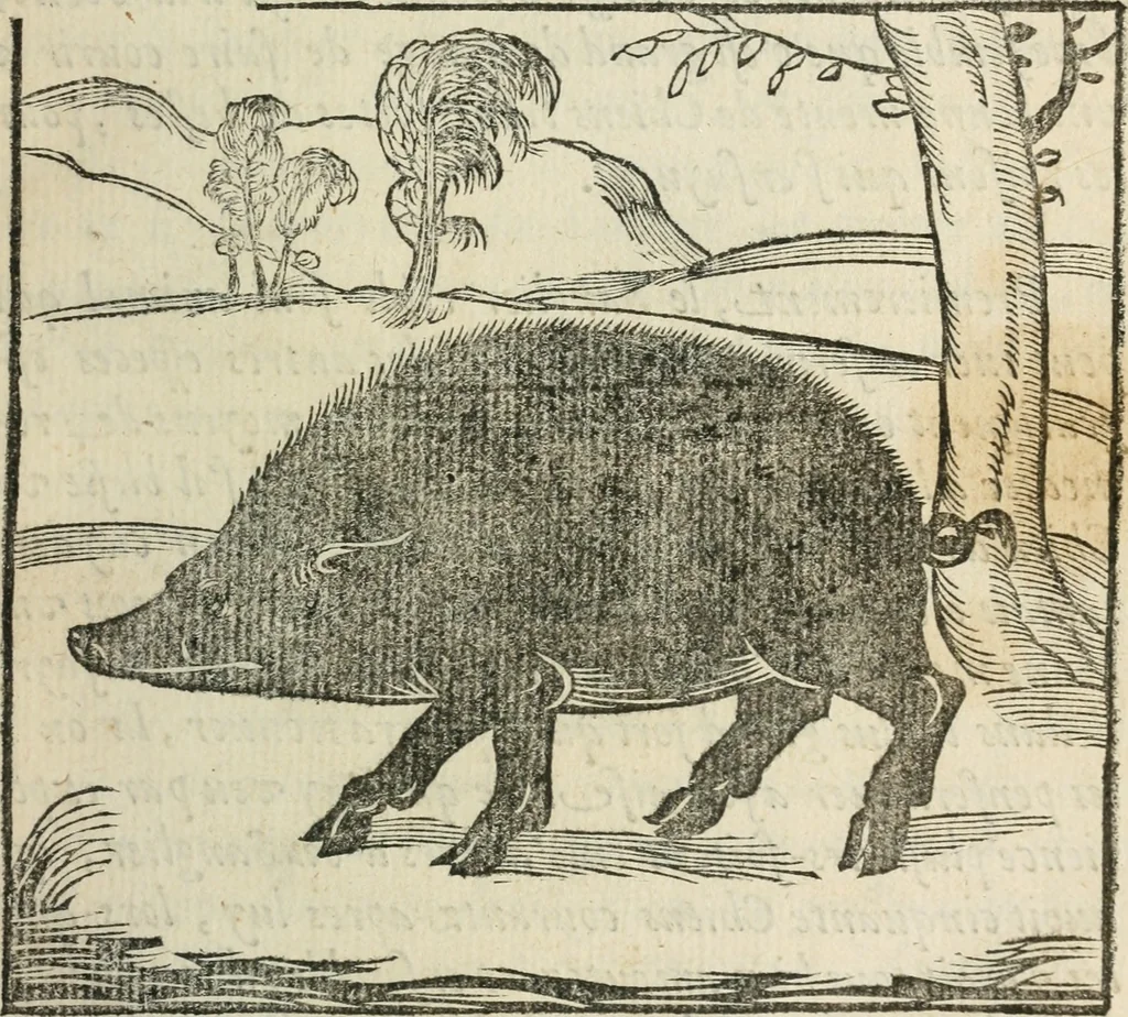 An illustration from La venerie de Jacques du Fouilloux, gentil-homme, seigneur dudit lieu, pays de Gastine, en Poitou; ... avec plusieurs receptes et remedes pour guerir les chiens de diverses maladies; plus, l'Adolescence de l'autheur, 1562, leaf 186