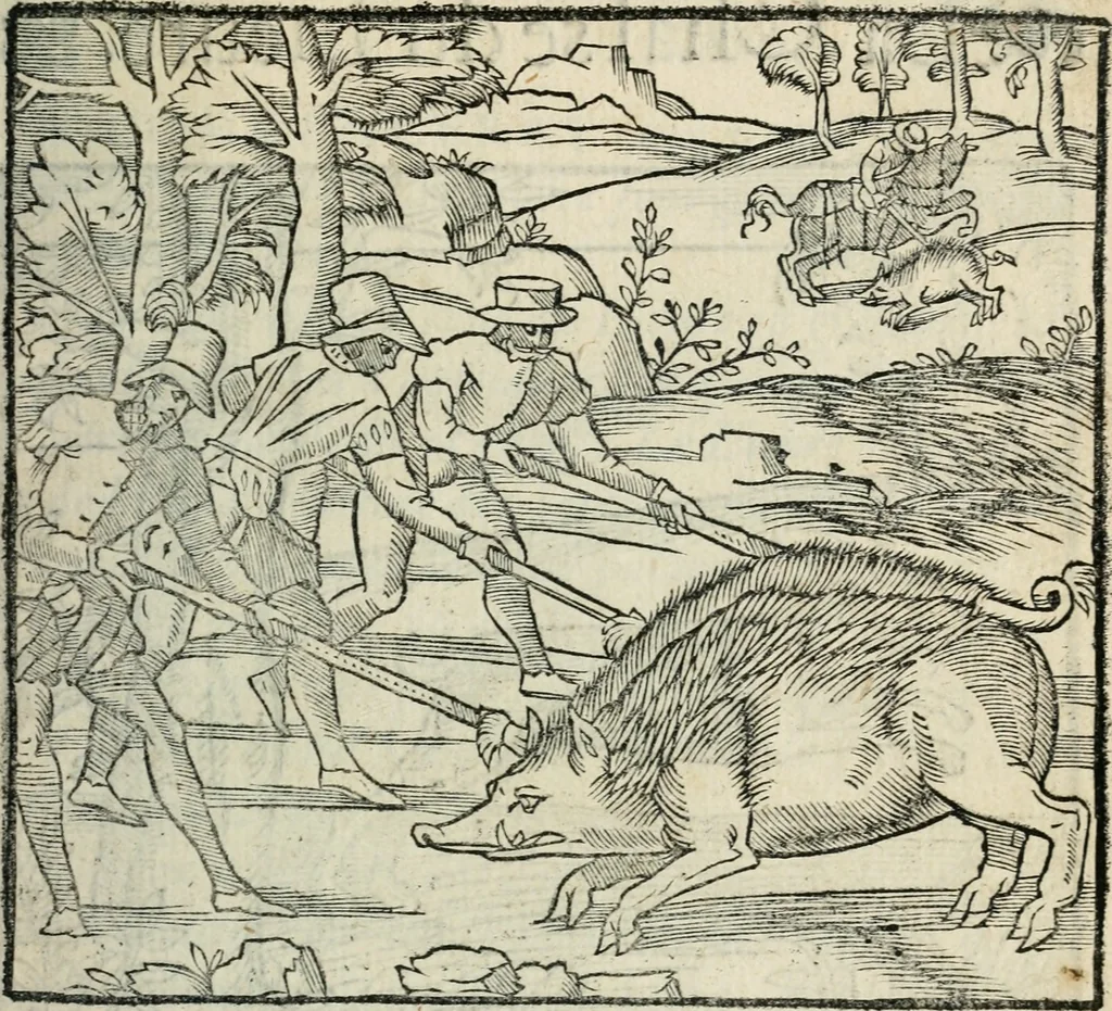 An illustration from La venerie de Jacques du Fouilloux, gentil-homme, seigneur dudit lieu, pays de Gastine, en Poitou; ... avec plusieurs receptes et remedes pour guerir les chiens de diverses maladies; plus, l'Adolescence de l'autheur, 1562, leaf 202