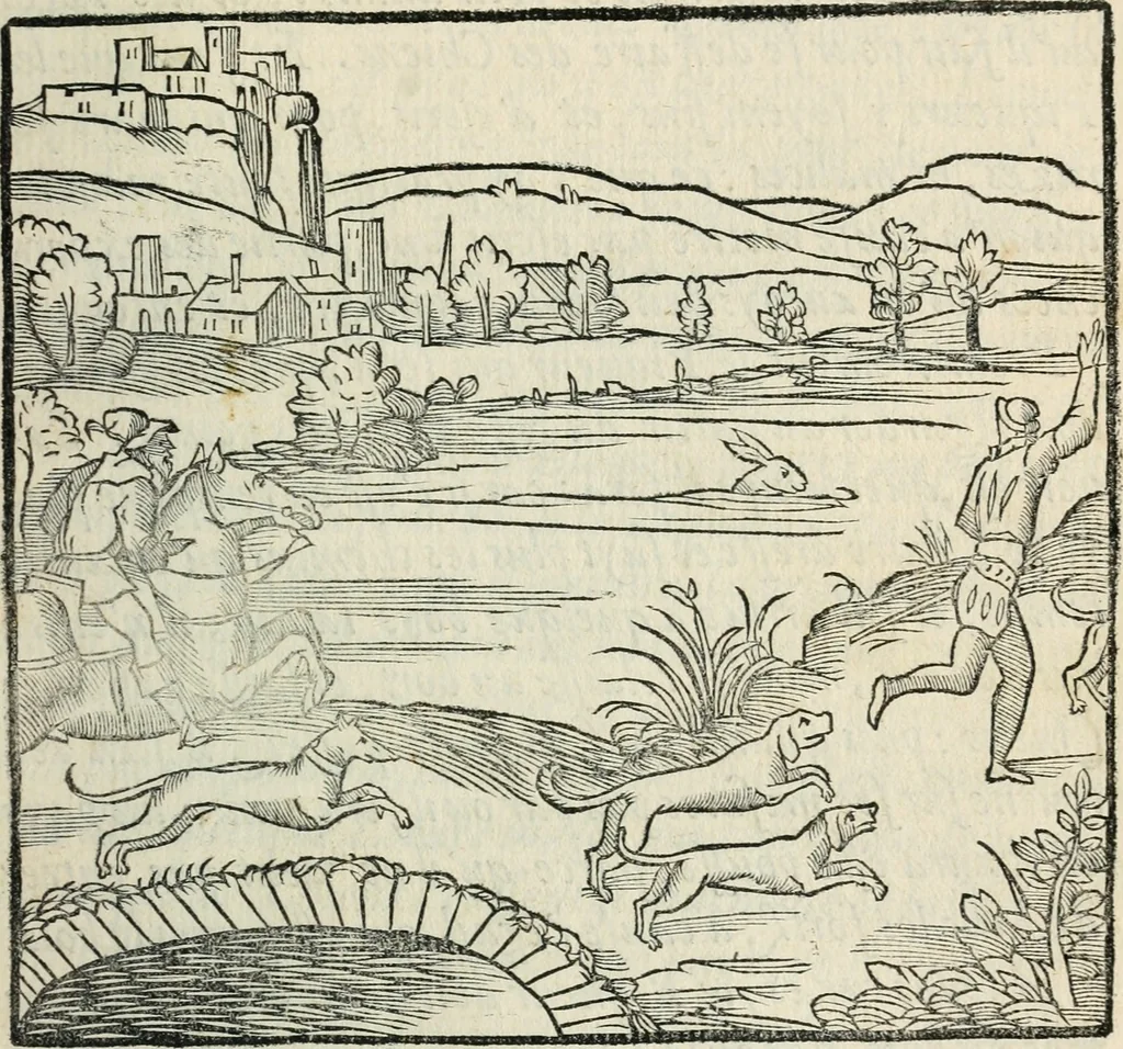 An illustration from La venerie de Jacques du Fouilloux, gentil-homme, seigneur dudit lieu, pays de Gastine, en Poitou; ... avec plusieurs receptes et remedes pour guerir les chiens de diverses maladies; plus, l'Adolescence de l'autheur, 1562, leaf 208