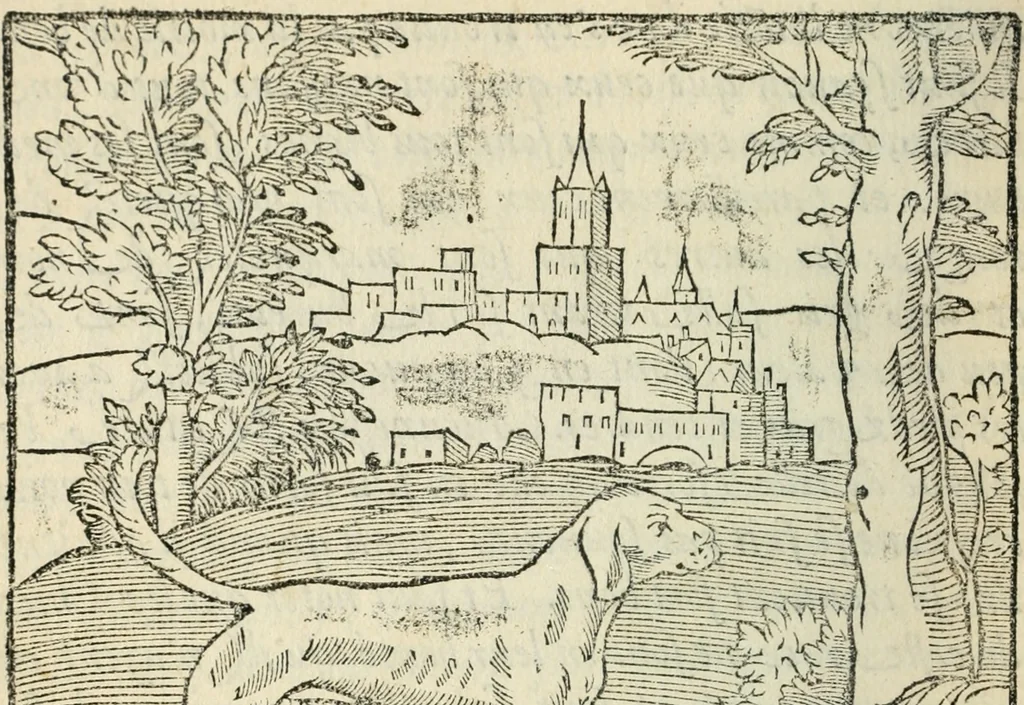 An illustration from La venerie de Jacques du Fouilloux, gentil-homme, seigneur dudit lieu, pays de Gastine, en Poitou; ... avec plusieurs receptes et remedes pour guerir les chiens de diverses maladies; plus, l'Adolescence de l'autheur, 1562, leaf 21