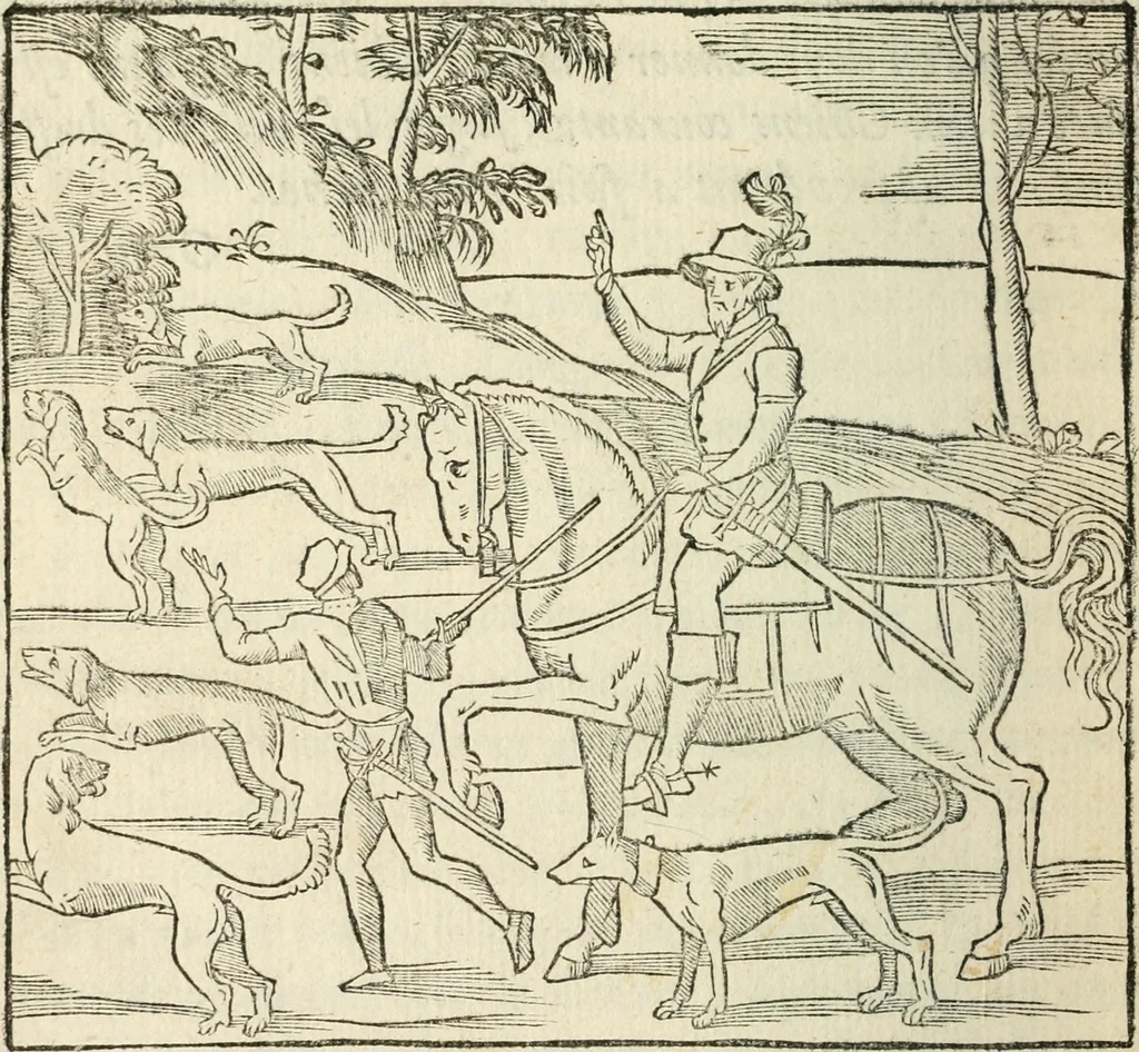 An illustration from La venerie de Jacques du Fouilloux, gentil-homme, seigneur dudit lieu, pays de Gastine, en Poitou; ... avec plusieurs receptes et remedes pour guerir les chiens de diverses maladies; plus, l'Adolescence de l'autheur, 1562, leaf 221