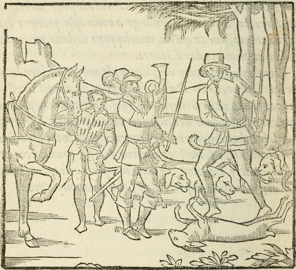 An illustration from La venerie de Jacques du Fouilloux, gentil-homme, seigneur dudit lieu, pays de Gastine, en Poitou; ... avec plusieurs receptes et remedes pour guerir les chiens de diverses maladies; plus, l'Adolescence de l'autheur, 1562, leaf 229