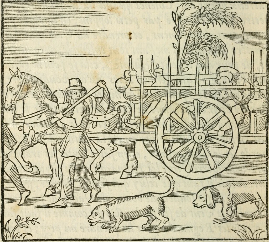 An illustration from La venerie de Jacques du Fouilloux, gentil-homme, seigneur dudit lieu, pays de Gastine, en Poitou; ... avec plusieurs receptes et remedes pour guerir les chiens de diverses maladies; plus, l'Adolescence de l'autheur, 1562, leaf 241