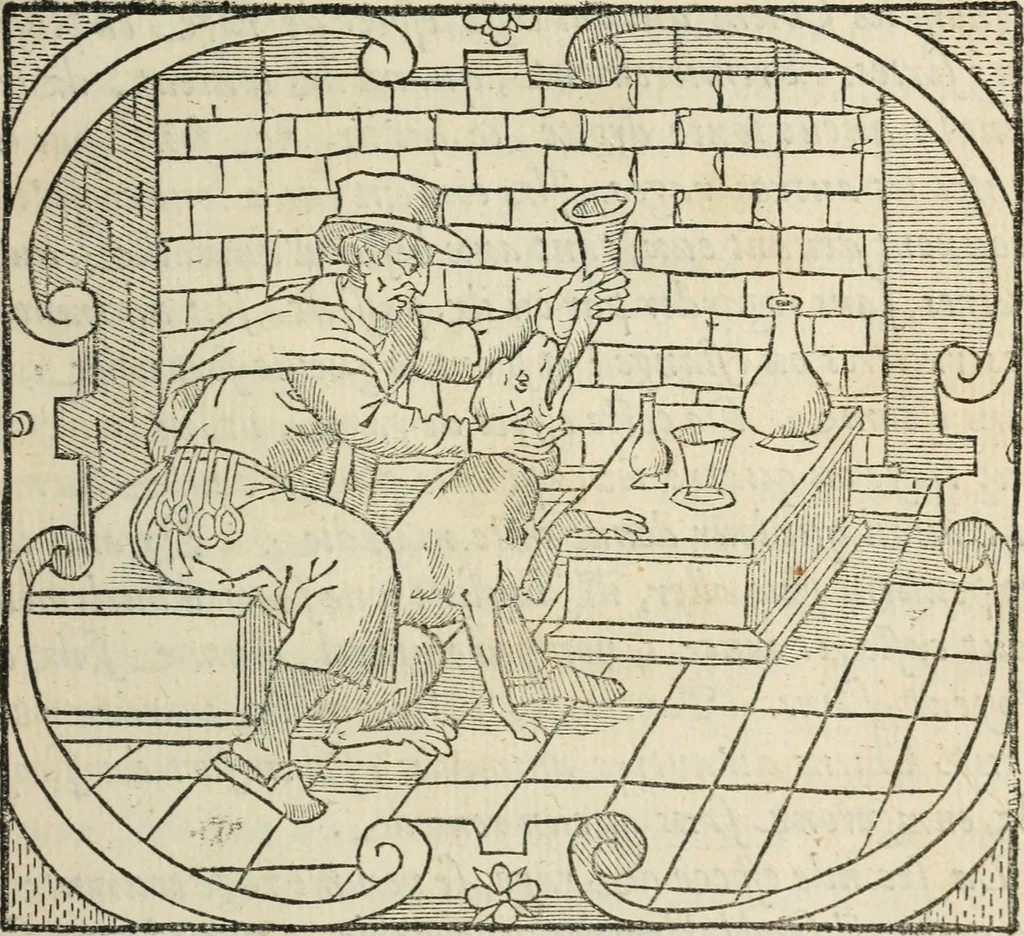 An illustration from La venerie de Jacques du Fouilloux, gentil-homme, seigneur dudit lieu, pays de Gastine, en Poitou; ... avec plusieurs receptes et remedes pour guerir les chiens de diverses maladies; plus, l'Adolescence de l'autheur, 1562, leaf 250