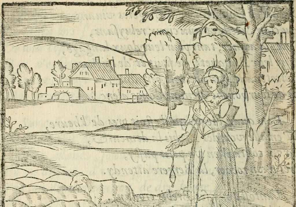 An illustration from La venerie de Jacques du Fouilloux, gentil-homme, seigneur dudit lieu, pays de Gastine, en Poitou; ... avec plusieurs receptes et remedes pour guerir les chiens de diverses maladies; plus, l'Adolescence de l'autheur, 1562, leaf 289
