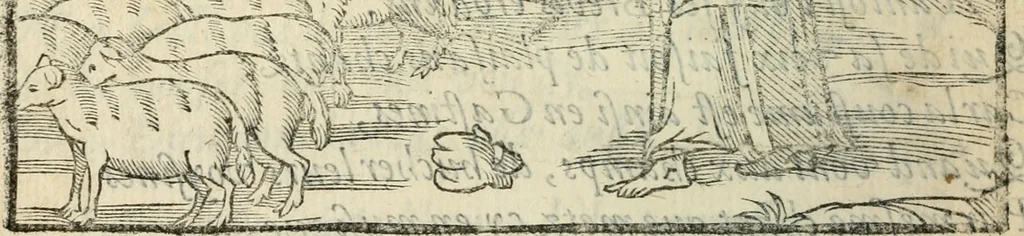 An illustration from La venerie de Jacques du Fouilloux, gentil-homme, seigneur dudit lieu, pays de Gastine, en Poitou; ... avec plusieurs receptes et remedes pour guerir les chiens de diverses maladies; plus, l'Adolescence de l'autheur, 1562, leaf 289