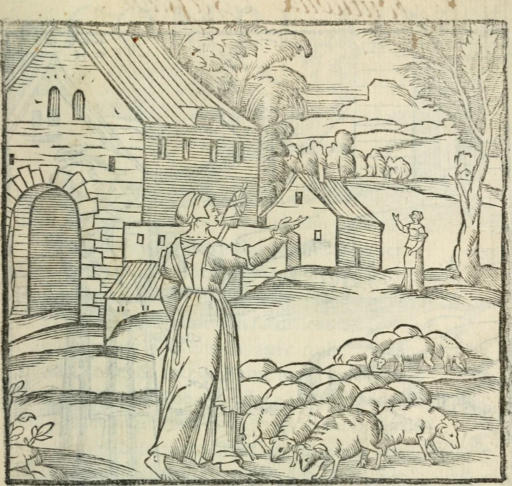 An illustration from La venerie de Jacques du Fouilloux, gentil-homme, seigneur dudit lieu, pays de Gastine, en Poitou; ... avec plusieurs receptes et remedes pour guerir les chiens de diverses maladies; plus, l'Adolescence de l'autheur, 1562, leaf 290