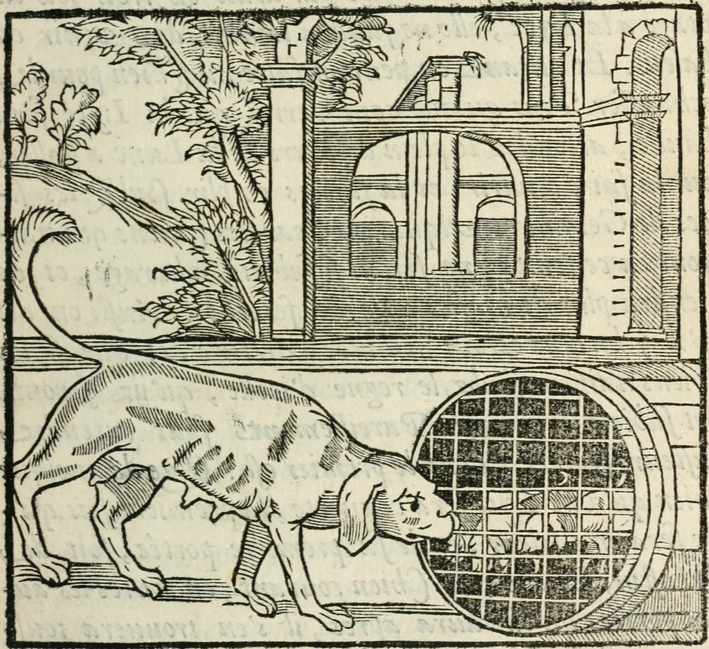 An illustration from La venerie de Jacques du Fouilloux, gentil-homme, seigneur dudit lieu, pays de Gastine, en Poitou; ... avec plusieurs receptes et remedes pour guerir les chiens de diverses maladies; plus, l'Adolescence de l'autheur, 1562, leaf 30