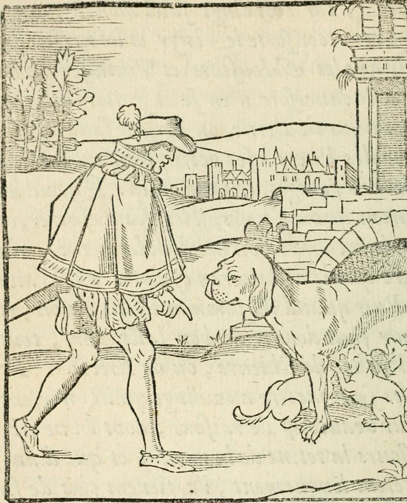 An illustration from La venerie de Jacques du Fouilloux, gentil-homme, seigneur dudit lieu, pays de Gastine, en Poitou; ... avec plusieurs receptes et remedes pour guerir les chiens de diverses maladies; plus, l'Adolescence de l'autheur, 1562, leaf 37