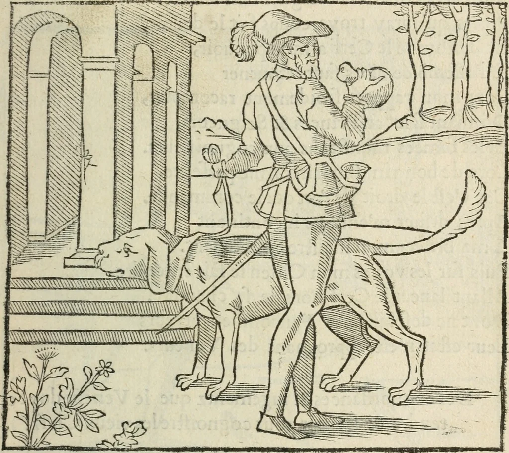 An illustration from La venerie de Jacques du Fouilloux, gentil-homme, seigneur dudit lieu, pays de Gastine, en Poitou; ... avec plusieurs receptes et remedes pour guerir les chiens de diverses maladies; plus, l'Adolescence de l'autheur, 1562, leaf 82