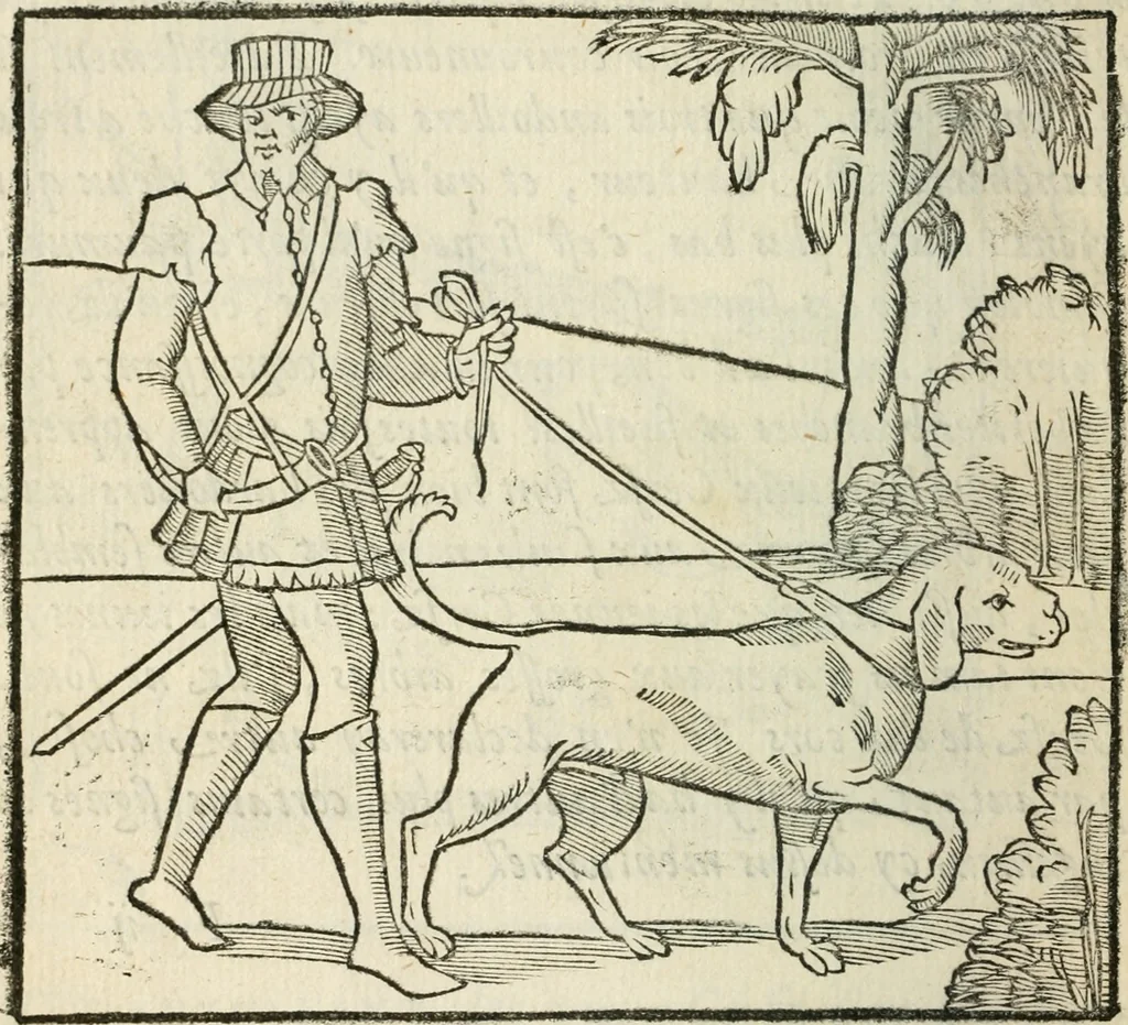 An illustration from La venerie de Jacques du Fouilloux, gentil-homme, seigneur dudit lieu, pays de Gastine, en Poitou; ... avec plusieurs receptes et remedes pour guerir les chiens de diverses maladies; plus, l'Adolescence de l'autheur, 1562, leaf 95
