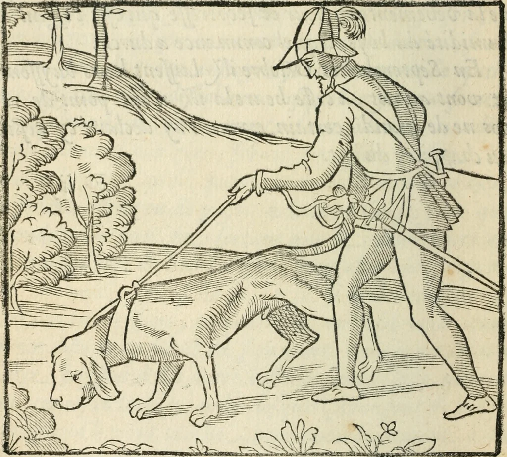 An illustration from La venerie de Jacques du Fouilloux, gentil-homme, seigneur dudit lieu, pays de Gastine, en Poitou; ... avec plusieurs receptes et remedes pour guerir les chiens de diverses maladies; plus, l'Adolescence de l'autheur, 1562, leaf 99