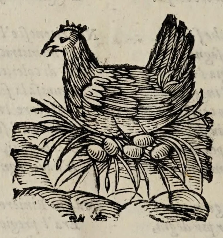 An illustration from La Venetia edificata : poema eroico, 1624, leaf 152