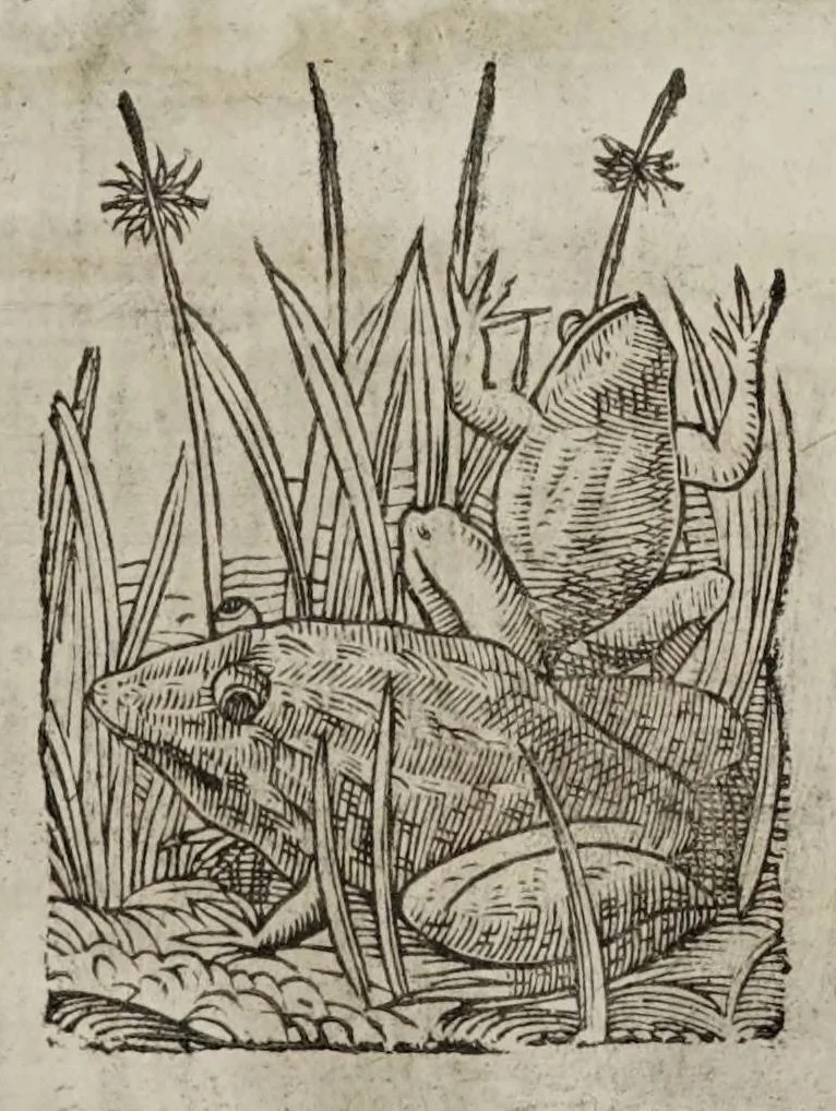 An illustration from La Venetia edificata : poema eroico, 1624, leaf 87