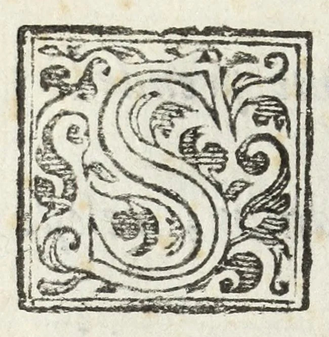 An illustration from La venuta et i progressi miracolosi della S.ma Madonna : dipinta dà S. Luca posta sul monte della Guardia dall'anno che ci uenne 1160 sin all'anno 1617, 1617, leaf 14