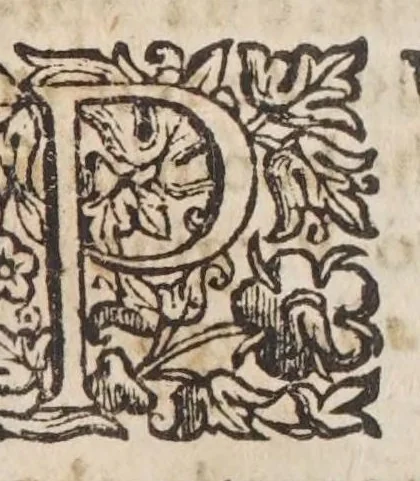 An illustration from La vera antichita di Pozzuolo : oue con l'istoria de tutte le cose del contorno, si narrano la bellezza di, 1652, leaf 177