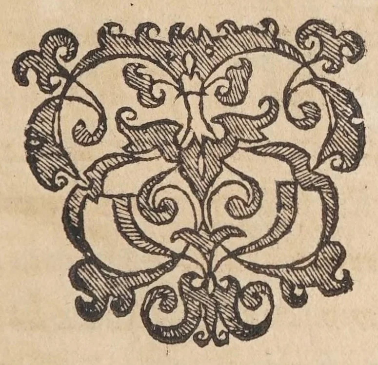 An illustration from La vera antichita di Pozzuolo : oue con l'istoria de tutte le cose del contorno, si narrano la bellezza di, 1652, leaf 19