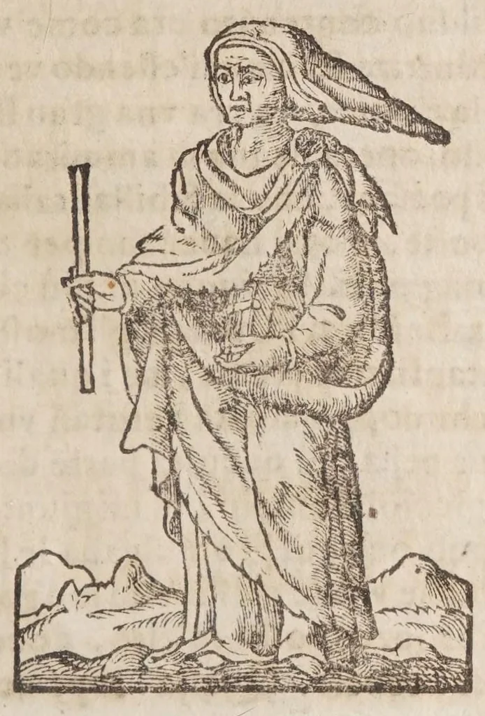 An illustration from La vera antichita di Pozzuolo : oue con l'istoria de tutte le cose del contorno, si narrano la bellezza di, 1652, leaf 321