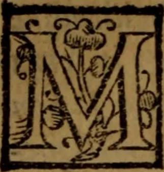 An illustration from La vera dichiaratione di tutte le metafore, similitudini, & enimmi de gl'antichi filosofi alchimisti, tanto caldei & arabi, come greci & latini, vsati da loro nella descrittione, & compositione dell' oro potabile, elissire della vita, quinta essenza, & lapis filosofico : oue con vn breve discorso della generatione de i metalli, & quasi di tutte l'opere di natura, secondo i principij della filosofia, si mostra l'errore, & ignoranza (per non dir l'inganno) di tutti gl'alchimisti moderni, 1587, leaf 107