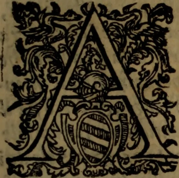 An illustration from La vera dichiaratione di tutte le metafore, similitudini, & enimmi de gl'antichi filosofi alchimisti, tanto caldei & arabi, come greci & latini, vsati da loro nella descrittione, & compositione dell' oro potabile, elissire della vita, quinta essenza, & lapis filosofico : oue con vn breve discorso della generatione de i metalli, & quasi di tutte l'opere di natura, secondo i principij della filosofia, si mostra l'errore, & ignoranza (per non dir l'inganno) di tutti gl'alchimisti moderni, 1587, leaf 14