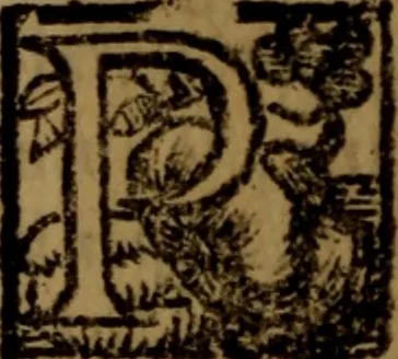 An illustration from La vera dichiaratione di tutte le metafore, similitudini, & enimmi de gl'antichi filosofi alchimisti, tanto caldei & arabi, come greci & latini, vsati da loro nella descrittione, & compositione dell' oro potabile, elissire della vita, quinta essenza, & lapis filosofico : oue con vn breve discorso della generatione de i metalli, & quasi di tutte l'opere di natura, secondo i principij della filosofia, si mostra l'errore, & ignoranza (per non dir l'inganno) di tutti gl'alchimisti moderni, 1587, leaf 143