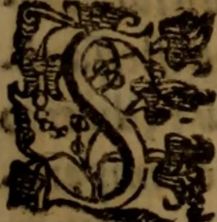 An illustration from La vera dichiaratione di tutte le metafore, similitudini, & enimmi de gl'antichi filosofi alchimisti, tanto caldei & arabi, come greci & latini, vsati da loro nella descrittione, & compositione dell' oro potabile, elissire della vita, quinta essenza, & lapis filosofico : oue con vn breve discorso della generatione de i metalli, & quasi di tutte l'opere di natura, secondo i principij della filosofia, si mostra l'errore, & ignoranza (per non dir l'inganno) di tutti gl'alchimisti moderni, 1587, leaf 164