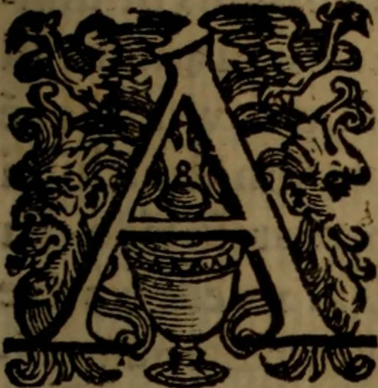 An illustration from La vera dichiaratione di tutte le metafore, similitudini, & enimmi de gl'antichi filosofi alchimisti, tanto caldei & arabi, come greci & latini, vsati da loro nella descrittione, & compositione dell' oro potabile, elissire della vita, quinta essenza, & lapis filosofico : oue con vn breve discorso della generatione de i metalli, & quasi di tutte l'opere di natura, secondo i principij della filosofia, si mostra l'errore, & ignoranza (per non dir l'inganno) di tutti gl'alchimisti moderni, 1587, leaf 22