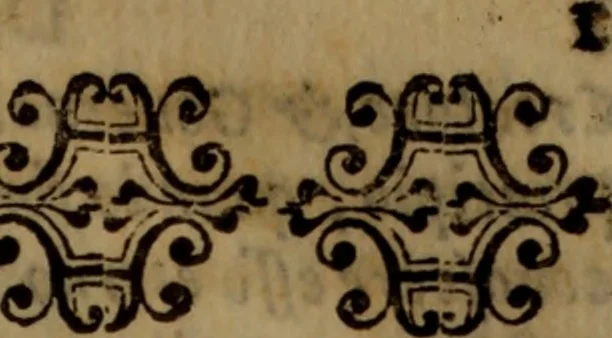 An illustration from La vera dichiaratione di tutte le metafore, similitudini, & enimmi de gl'antichi filosofi alchimisti, tanto caldei & arabi, come greci & latini, vsati da loro nella descrittione, & compositione dell' oro potabile, elissire della vita, quinta essenza, & lapis filosofico : oue con vn breve discorso della generatione de i metalli, & quasi di tutte l'opere di natura, secondo i principij della filosofia, si mostra l'errore, & ignoranza (per non dir l'inganno) di tutti gl'alchimisti moderni, 1587, leaf 26